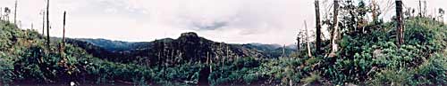 continental divide, new mexico